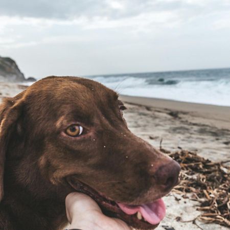 Cabana Wiwa Tayrona Los Naranjos Zewnętrze zdjęcie