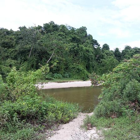 Cabana Wiwa Tayrona Los Naranjos Zewnętrze zdjęcie