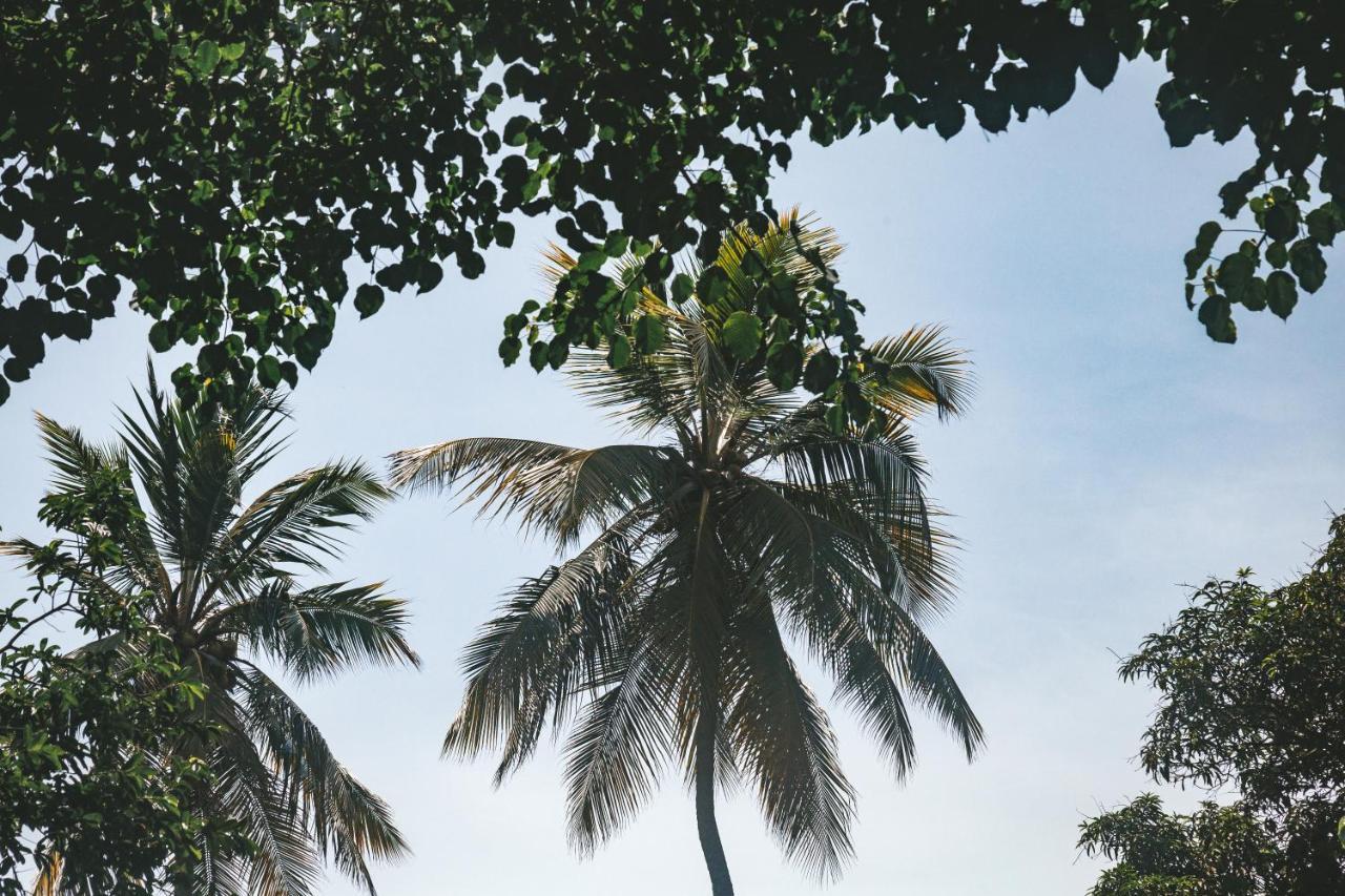 Cabana Wiwa Tayrona Los Naranjos Zewnętrze zdjęcie