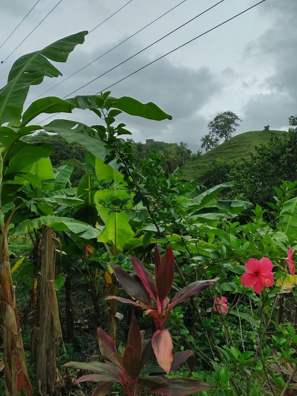 Cabana Wiwa Tayrona Los Naranjos Zewnętrze zdjęcie
