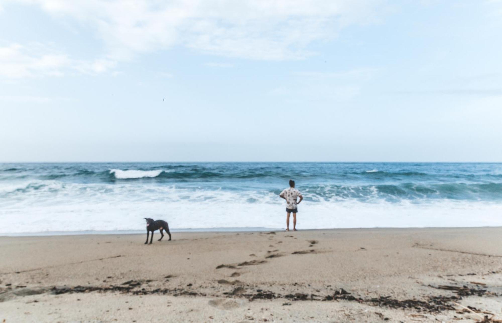 Cabana Wiwa Tayrona Los Naranjos Zewnętrze zdjęcie