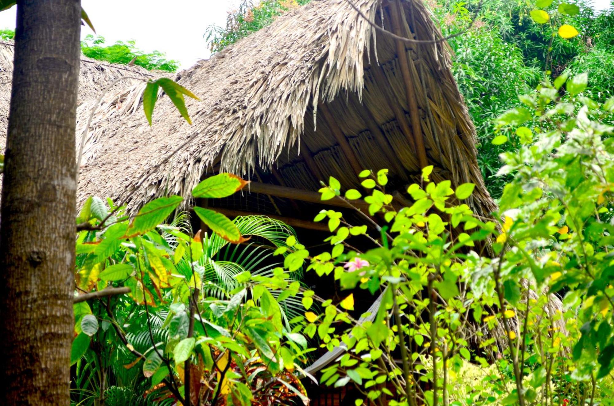 Cabana Wiwa Tayrona Los Naranjos Zewnętrze zdjęcie