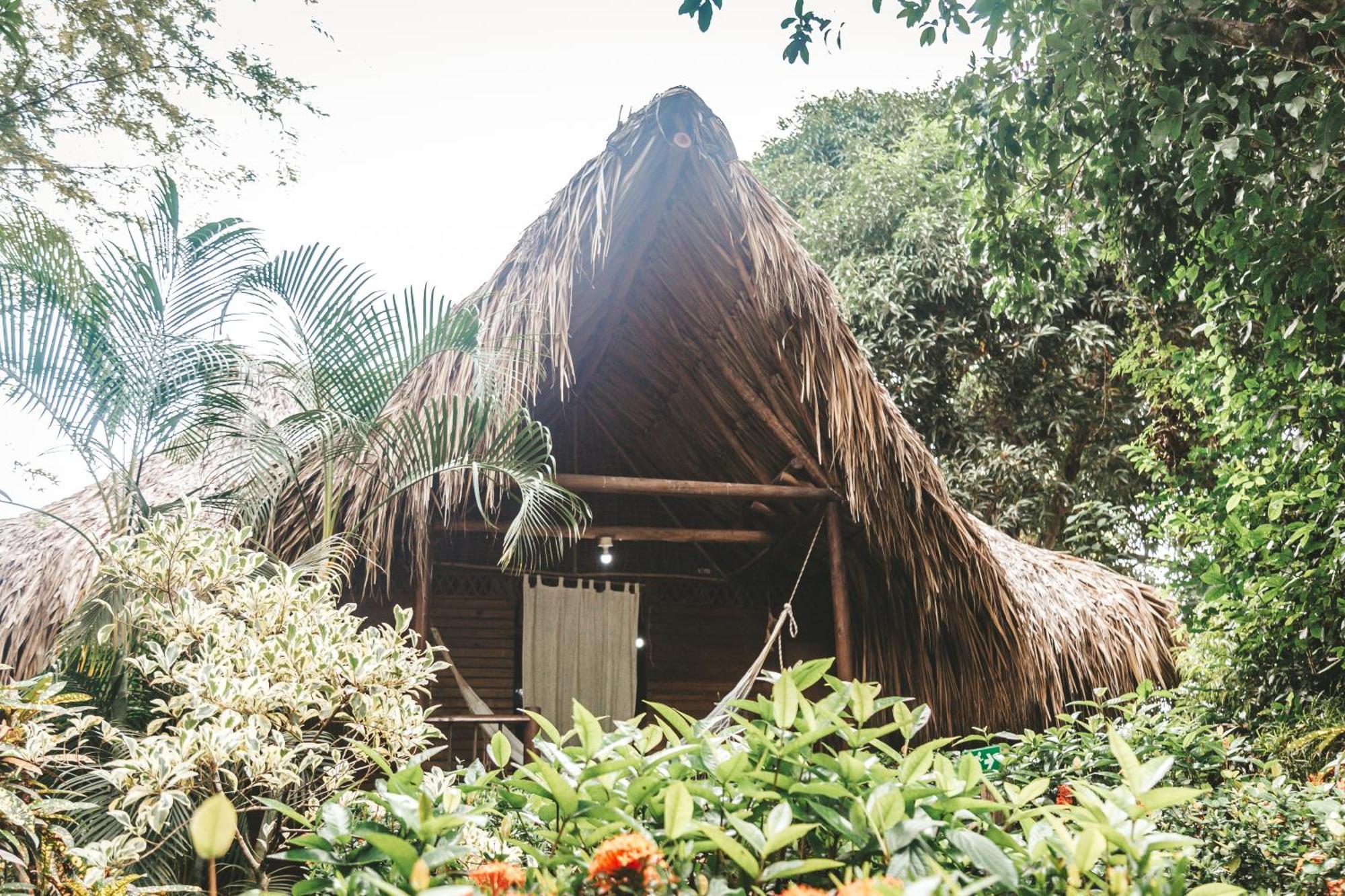 Cabana Wiwa Tayrona Los Naranjos Zewnętrze zdjęcie