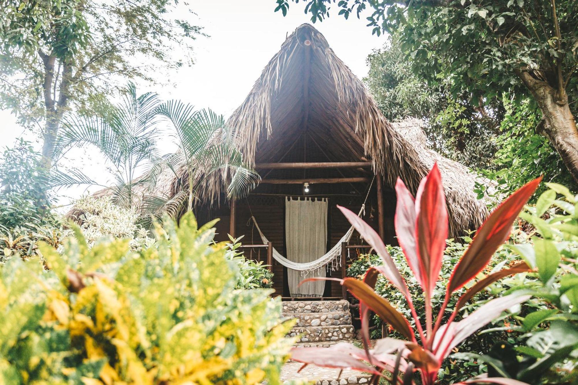 Cabana Wiwa Tayrona Los Naranjos Zewnętrze zdjęcie