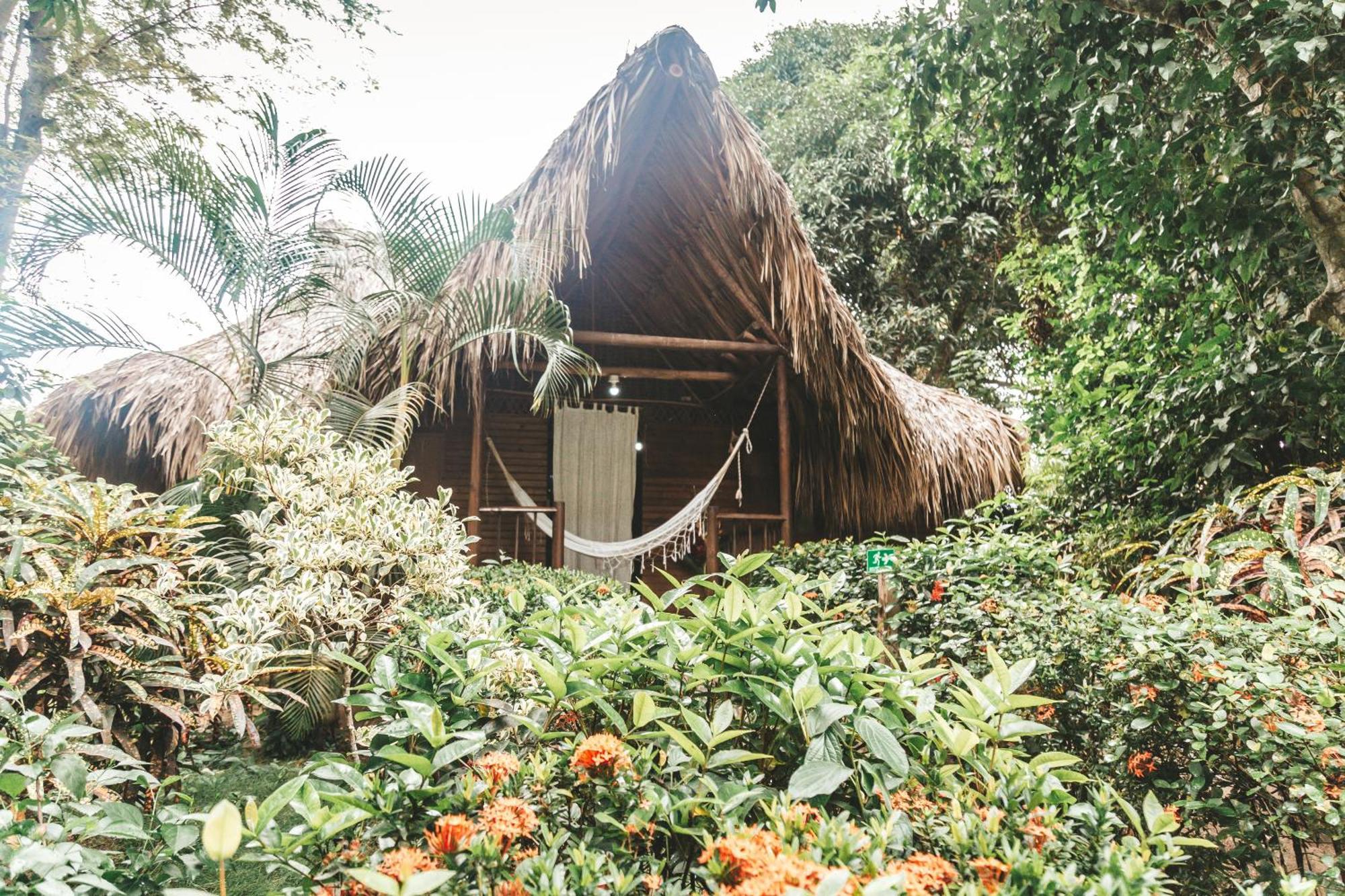 Cabana Wiwa Tayrona Los Naranjos Zewnętrze zdjęcie